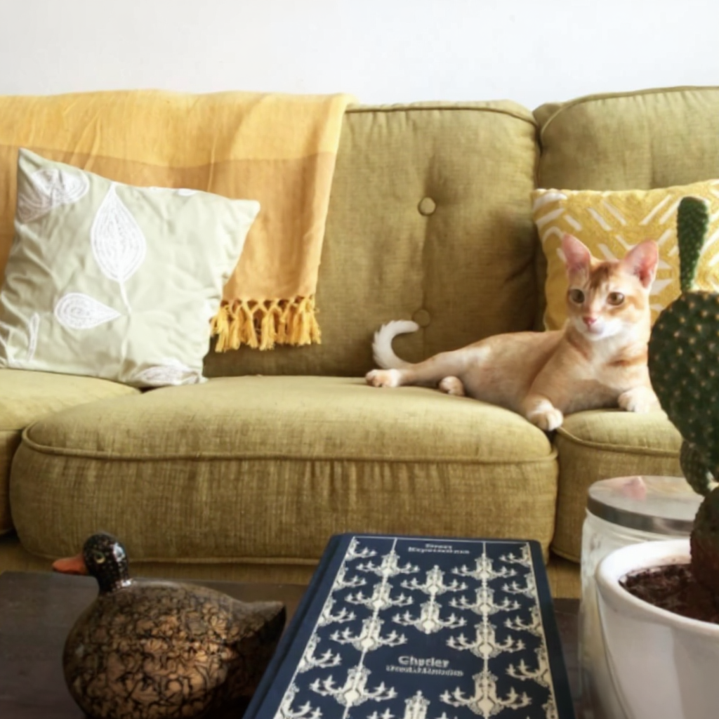 Furniture image 4